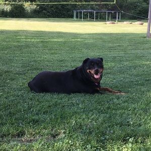 Meet your Posher, Emmy